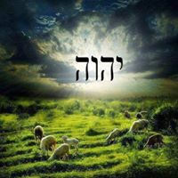 Beth Armstrong Photo 34