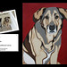 Vicki Kenyon Photo 14