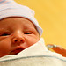 Thomas Conner Photo 43