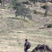 Michael Mccollum Photo 28