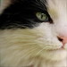 Catherine Burt Photo 10