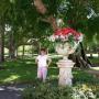 Phyllis Rogers Photo 2