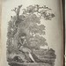 John Nesbit Photo 38