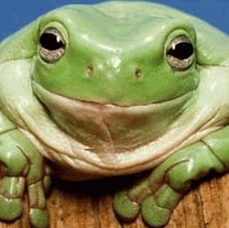 Dawn Osborne Photo 30