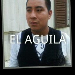 Andres Alonzo Photo 2