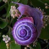 Kristine Clevenger Photo 9