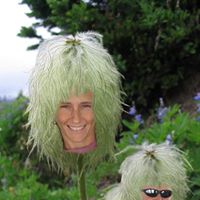 Lisa Hedrick Photo 13