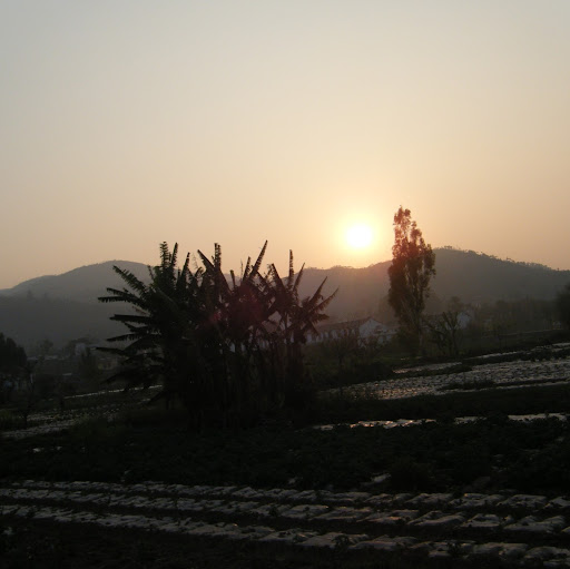 Wai Ho Photo 27