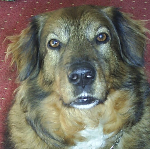 Andrea Sims Photo 29