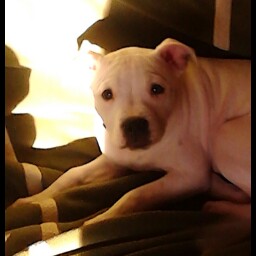 Penny Carroll Photo 26