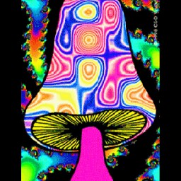 Dolores Davis Photo 20