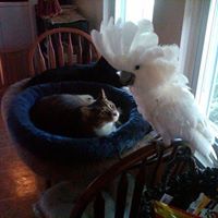 Mandy Mcpherson Photo 9