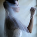 Crystal Andrews Photo 23