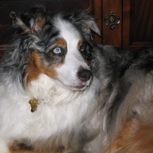 Sherry Clark Photo 12