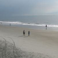 Judy Whitten Photo 22