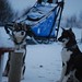 Charlie Moen Photo 11