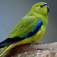 Scott Budden Photo 3