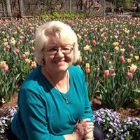 Jean Cook Photo 38