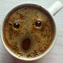 Dennis Howard Photo 35