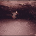 Jerry Foreman Photo 7