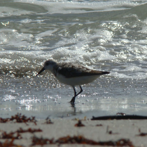 Beth Robbins Photo 30