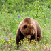 Chad Haines Photo 33