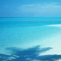 Lora Gutierrez Photo 6