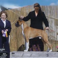 Julie Wilmore Photo 9