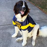 Bradley Jensen Photo 8