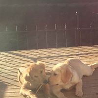 Lucy Gilbert Photo 23