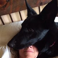 Molly Morrison Photo 44