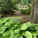 Sue Dean Photo 31