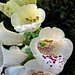 Christina Bell Photo 32