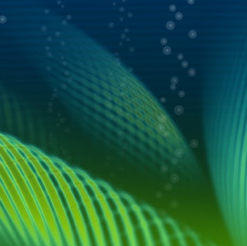 Christopher Bonner Photo 5