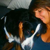 Cindy Springer Photo 17