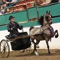 Jason Harrell Photo 8