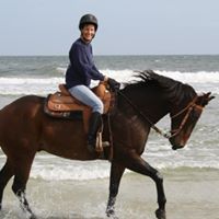 Susan Cooperman Photo 11