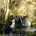 Kirby Ireland Photo 5