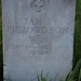 Sam Richardson Photo 11