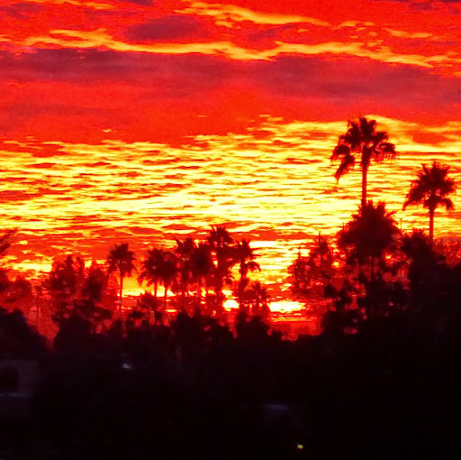 Travis Alexander Photo 19