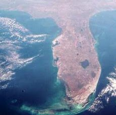 Ron Stewart Photo 34