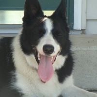 Lisa Samuelson Photo 15