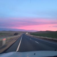 Annette Ransom Photo 10