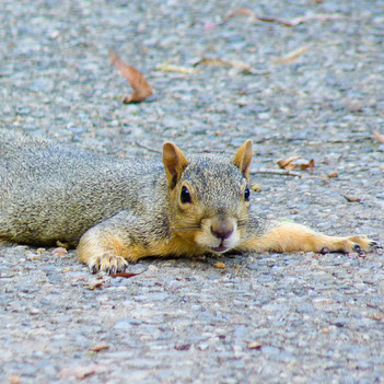 Kathy Jackson Photo 7 Kathy Jackson Photo 7