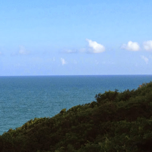 Frances Colon Photo 12