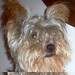 Deborah Castelli Photo 26