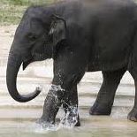 David Schaffer Photo 9 David Schaffer Photo 9