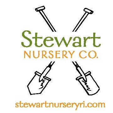 Kyle Stewart Photo 52