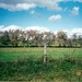 Gayle Douglas Photo 20