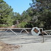 Hubert Greene Photo 5